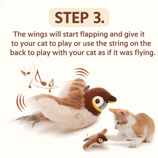 Step 3: Let the Fun Begin!