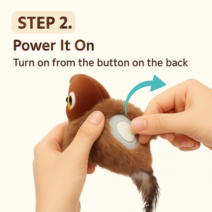 Step 2: Power It On